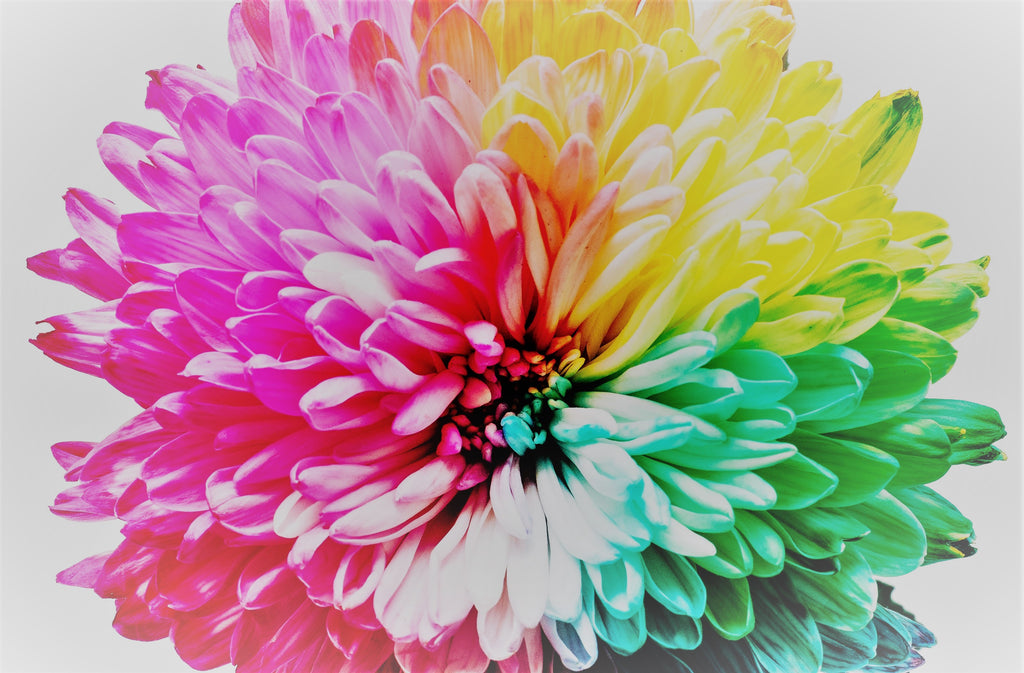 How Chakras Improve Our Health & Wellbeing