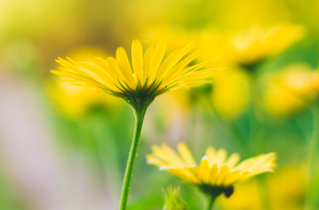 How To Stop Skin Itching Naturally
