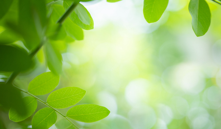 Is Organic Skincare Good for Skin?