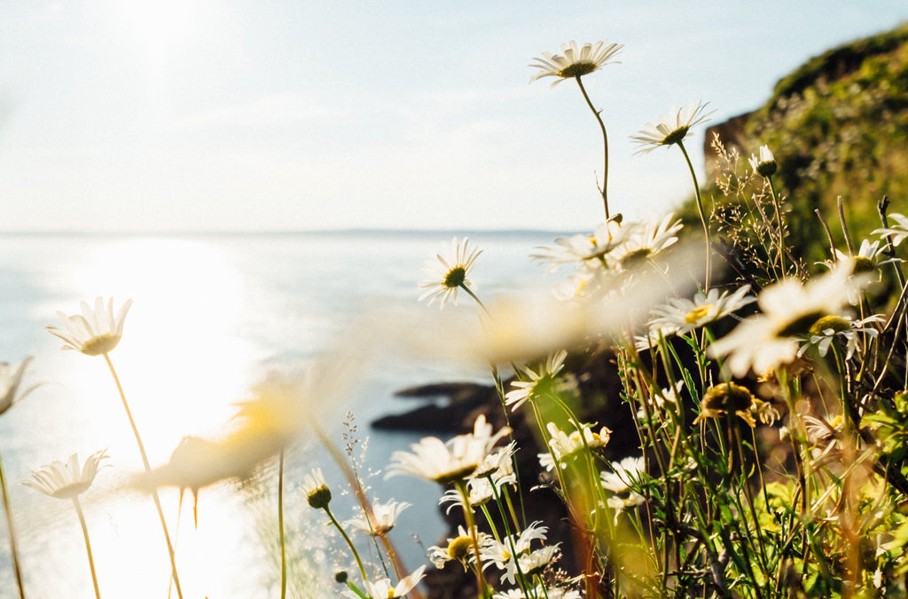 Do I Need Anti-Pollution Skincare?